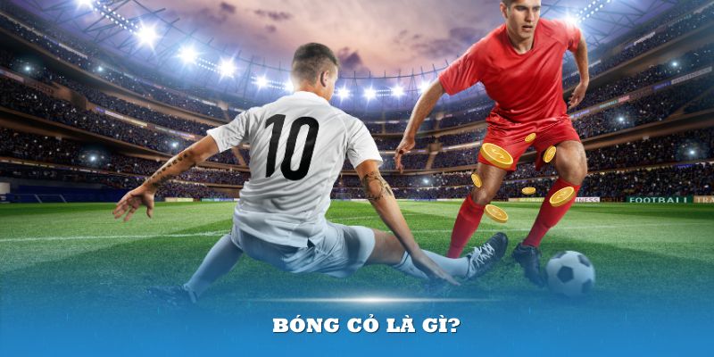 Bóng cỏ là gì? Các kiến thức hửu ích cho cược thủ WW88