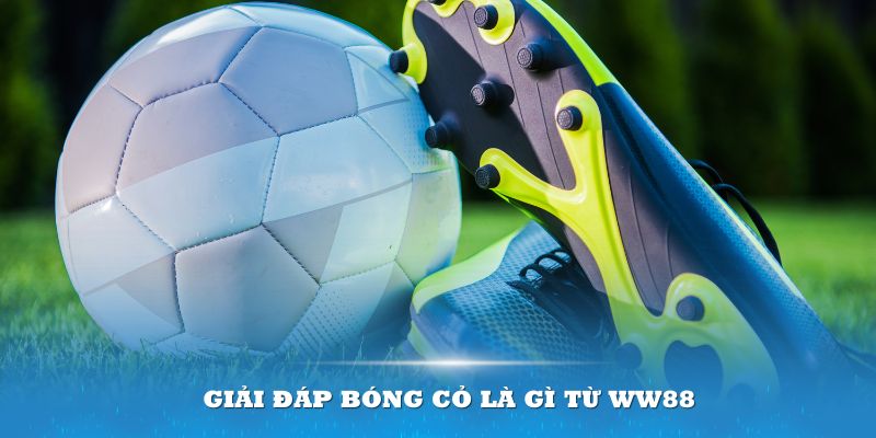 Giải đáp bóng cỏ là gì từ WW88