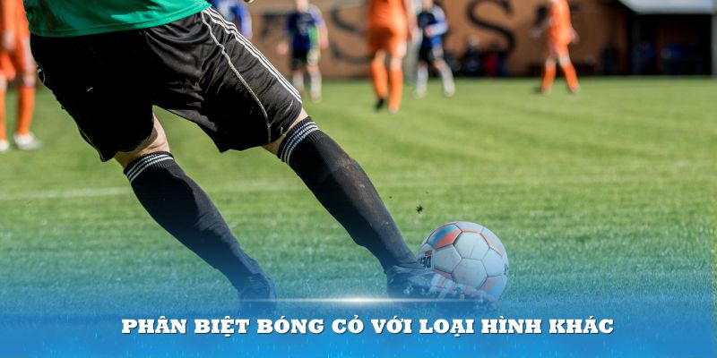 Phân biệt bóng cỏ với loại hình khác